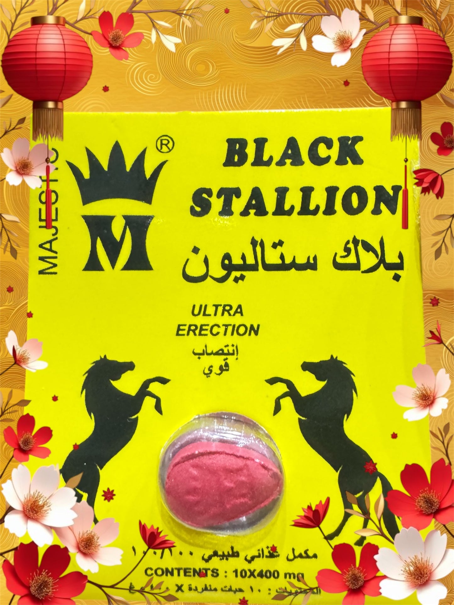 Black stallion
