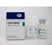 CEFOBID 1 GM VIAL