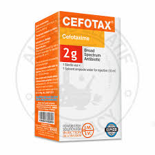 CEFOTAX 2G VIAL