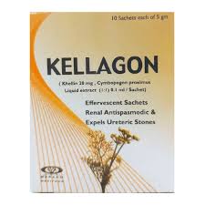 KELLAGON 10 SACHETS