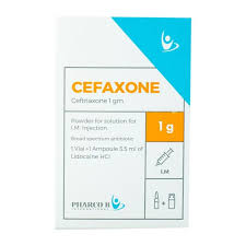 cefazone 1 g vial