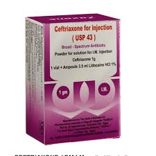 ceftriaxone 1gm sedico